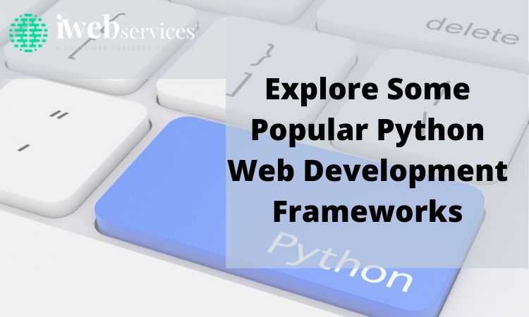 Explore Some Popular Python Web Development Frameworks