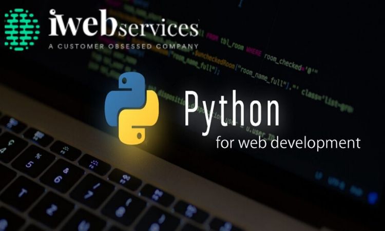 Explore Some Pros and Cons of Python Web Development