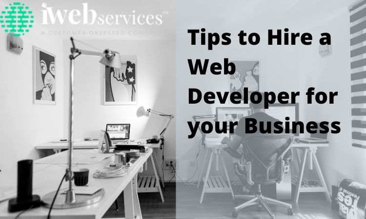 Tips to Hire a Web Developer for your Business
